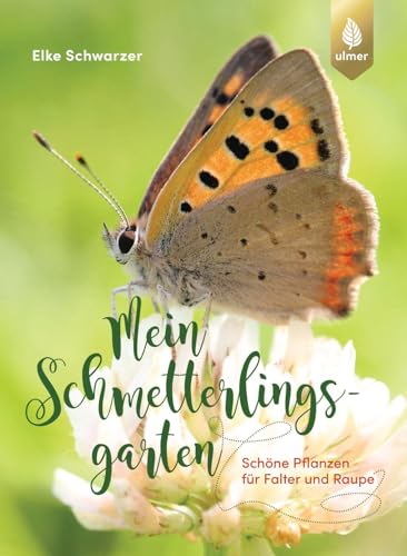 Mein Schmetterlingsgarten: Schöne Pflanzen für Falter und Raupe von Ulmer Eugen Verlag