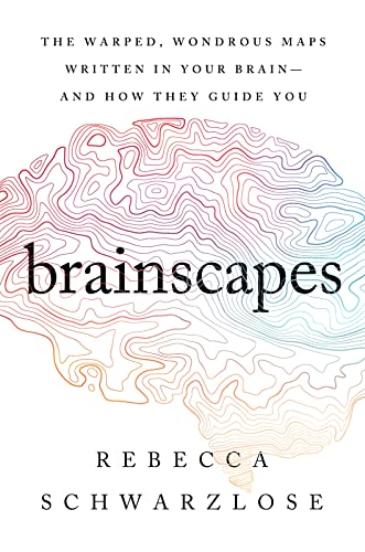 Brainscapes: The Warped, Wondrous Maps Written in Your Brain―And How They Guide You von Houghton Mifflin