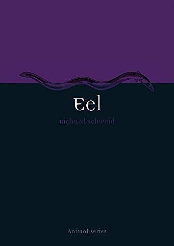 Eel (Animal)