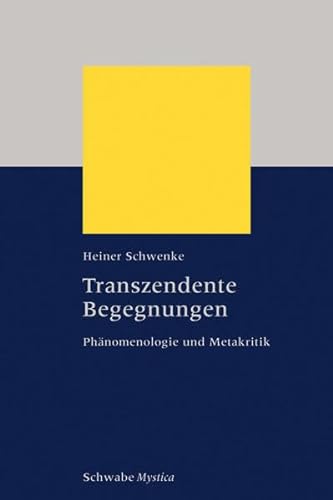 Transzendente Begegnungen: Phänomenologie und Metakritik