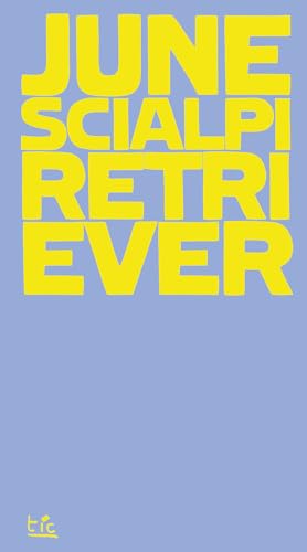 Retriever. (Possibile inquadramento teorico di un) (UltraChapBooks) von Tic