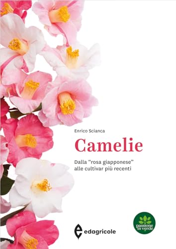 Camelie. Dalla «rosa giapponese» alle cultivar più recenti. Ediz. a colori (Passione in verde)