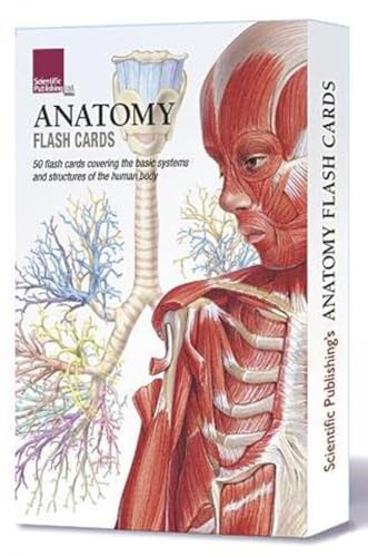 Anatomy Flash Cards Anatomy Flash Cards von Scientific Publishing