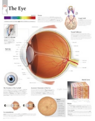 The Eye, Paper Chart