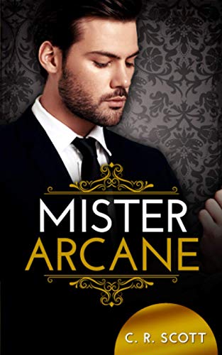 Mister Arcane: Liebesroman (The Misters)