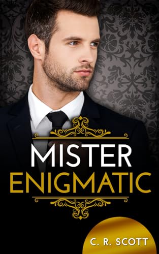 Mister Enigmatic (The Misters)