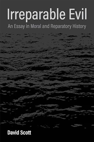 Irreparable Evil: An Essay in Moral and Reparatory History von Columbia University Press