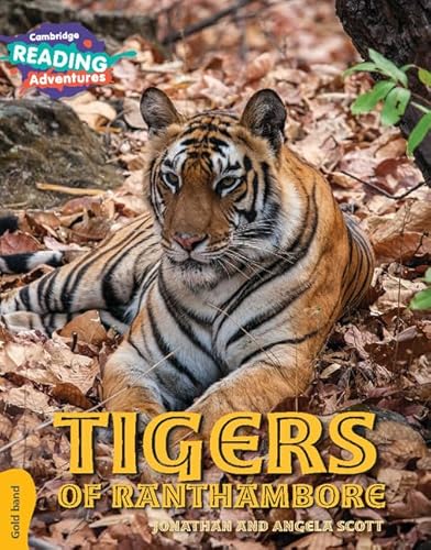 Tigers of Ranthambore Gold Band (Cambridge Reading Adventures) von Cambridge University Press