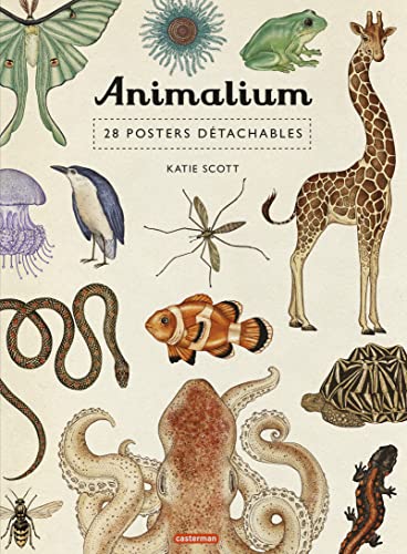 Animalium: 28 posters détachables von CASTERMAN