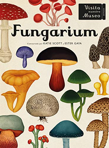 Fungarium (El chico amarillo, Band 33) von Impedimenta