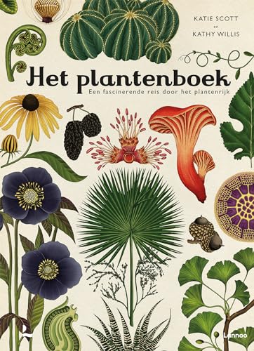 Het plantenboek: een fascinerende reis door het plantenrijk von Lannoo