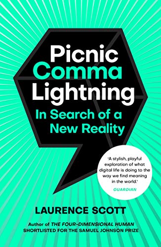 Picnic Comma Lightning: In Search of a New Reality von Windmill Books