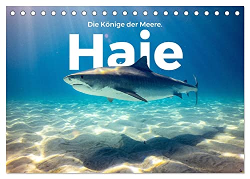 Haie - Könige der Meere. (Tischkalender 2024 DIN A5 quer), CALVENDO Monatskalender