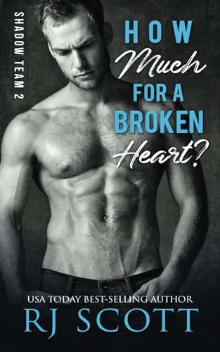 How Much For A Broken Heart? (Shadow Team, Band 2)