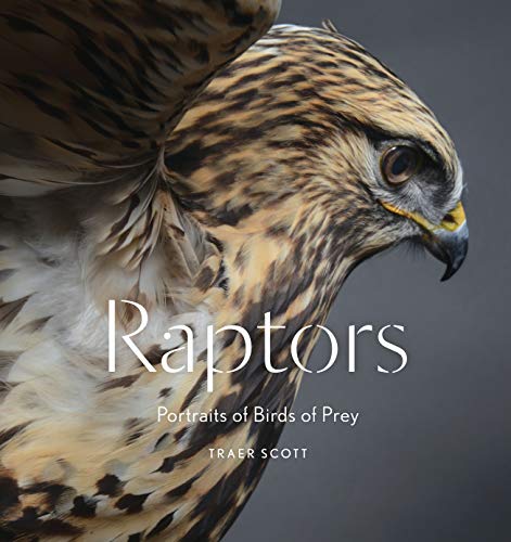 Raptors: Birds of Prey: Portraits of Birds of Prey