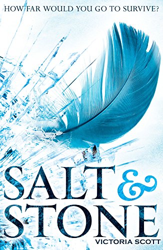 Salt & Stone (Fire & Flood, Band 2)