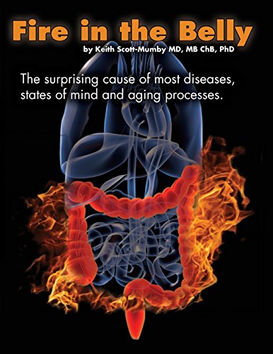 Fire In The Belly: The Surprising Cause of Most Diseases, States Of Mind and Aging Processes von Mother Whale, Inc