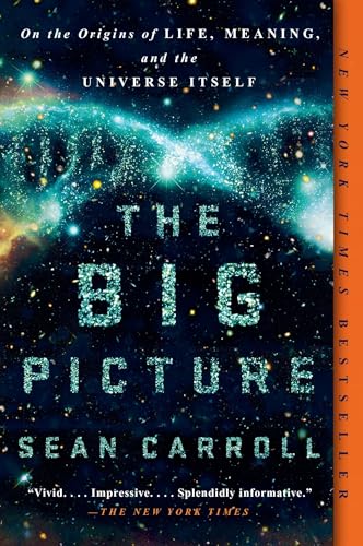 The Big Picture: On the Origins of Life, Meaning, and the Universe Itself von Dutton