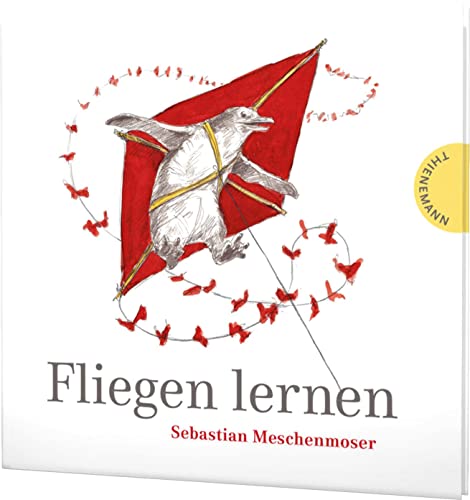 Fliegen lernen: Bilderbuch. Das gefeierte Kinderbuch über Mut und Träume