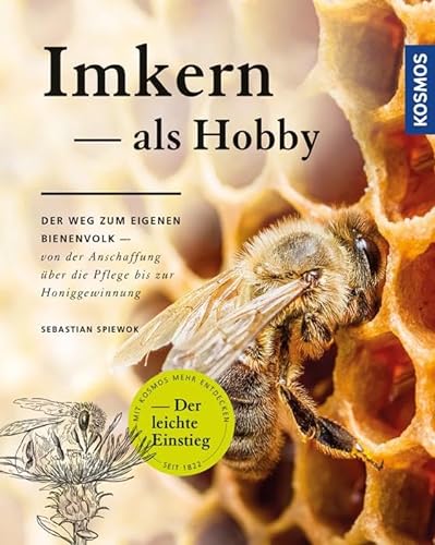 Imkern als Hobby: Der Weg zum eigenen Bienenvolk
