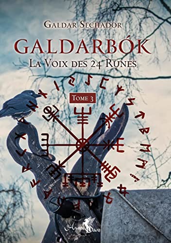 Galdarbok Tome 3 - La Voix des 24 Runes: La voix des 24 runes. Tome 3