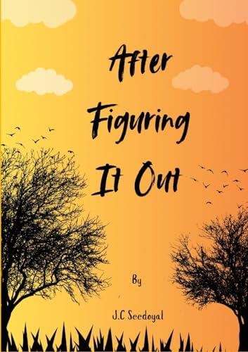 After Figuring It Out von Lulu.com