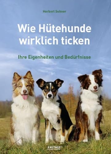 Wie Hütehunde wirklich ticken: Ihre Eigenheiten und Bedürfnisse von Kastner Druckhaus