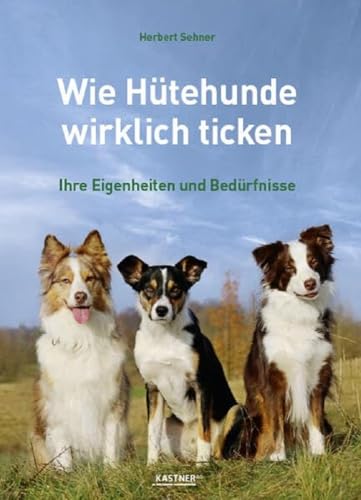 Wie Hütehunde wirklich ticken: Ihre Eigenheiten und Bedürfnisse