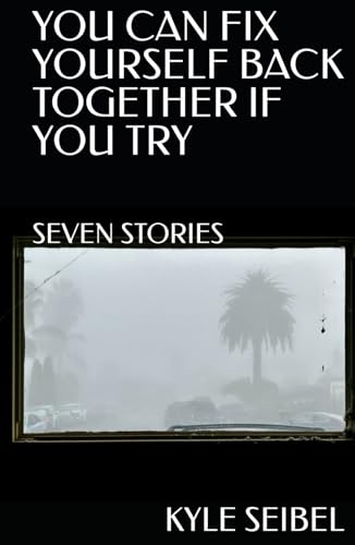 you can fix yourself back together if you try: seven stories von Independently published