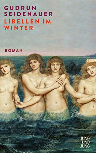 Libellen im Winter: Roman von Jung u. Jung