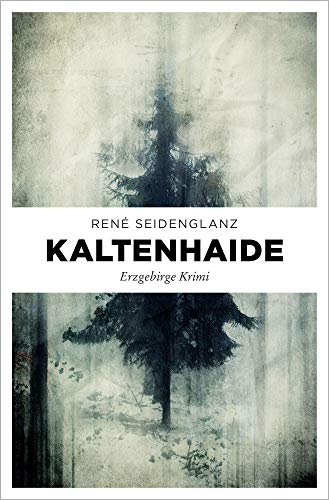 Kaltenhaide: Erzgebirge Krimi (Jan und Sascha Berghaus)