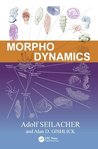 Morphodynamics