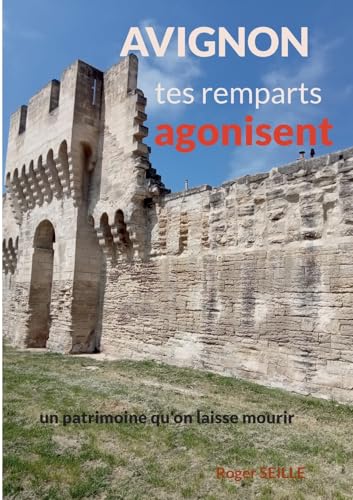 Avignon, tes remparts agonisent: Un patrimoine mondial qu'on laisse mourir von BoD – Books on Demand – Frankreich