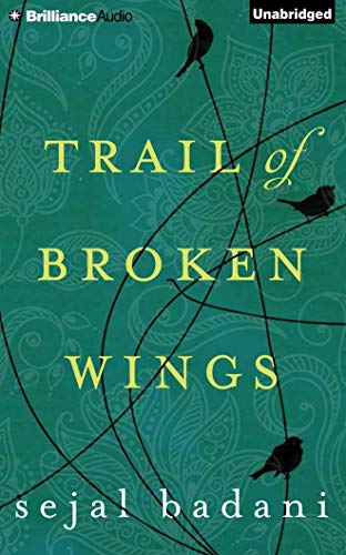 Trail of Broken Wings von Lake Union Publishing
