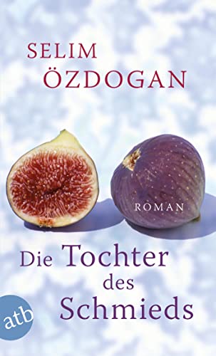 Die Tochter des Schmieds: Roman