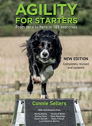 Agility For Starters: From zero to hero in 101 exercises von First Stone Publishing