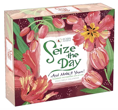 Seize the Day and Make It Yours 2023 Daily Calendar (BOXEDDAILY 365 DAY COMBINED) von SELLERS PUBLISHING, INC.