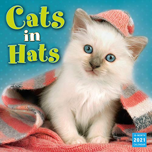 Cats in Hats 2021 Calendar von Sellers Pub Inc