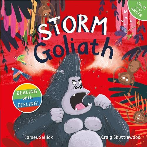 Storm Goliath (Dealing with Feeling, Band 1) von New Frontier Publishing
