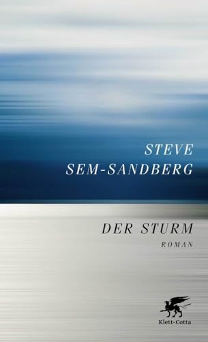 Der Sturm: Roman