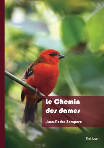 Le Chemin des dames von Édilivre