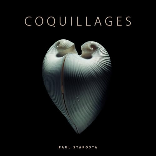 Coquillages von CINQ CONTINENTS