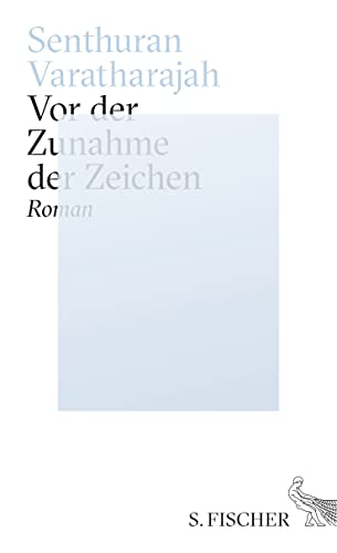 Vor der Zunahme der Zeichen: Roman