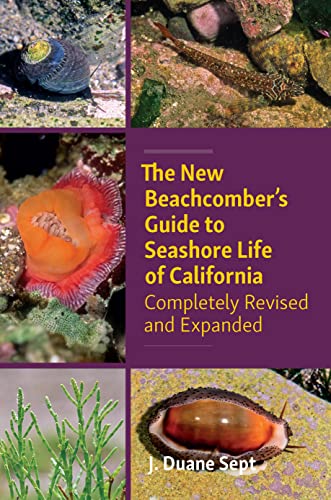 The New Beachcomber’s Guide to Seashore Life of California: Completely Revised and Expanded