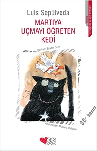 Martiya Uçmayi Ögreten Kedi Martiya Uçmayi Ögreten Kedi