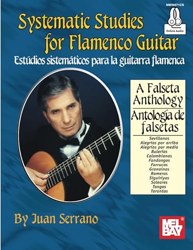 Systematic Studies for Flamenco Guitar