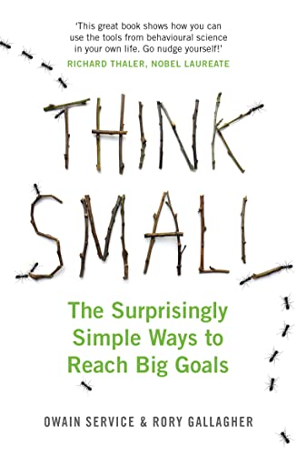 Think Small: The Surprisingly Simple Ways to Reach Big Goals von Michael O'Mara Books