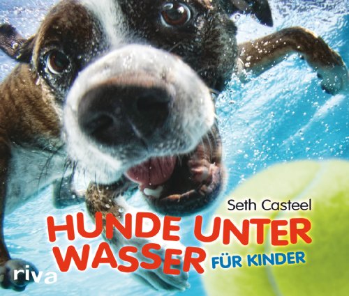 Hunde unter Wasser für Kinder