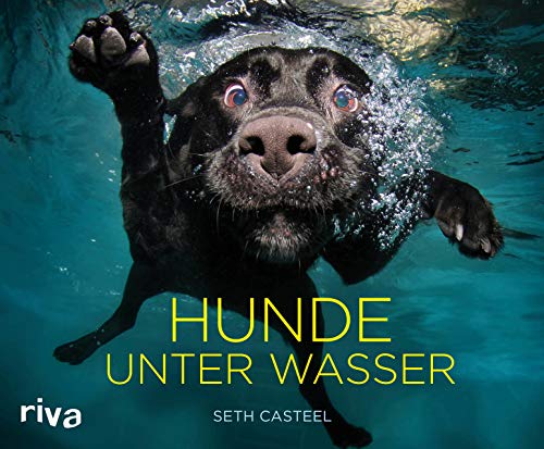 Hunde unter Wasser von Riva