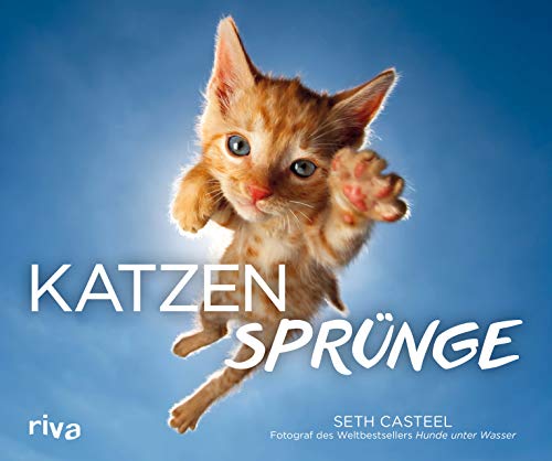 Katzensprünge von Riva